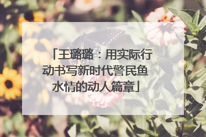 王璐璐：用实际行动书写新时代警民鱼水情的动人篇章
