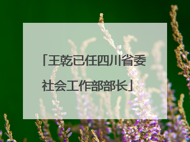 王乾已任四川省委社会工作部部长