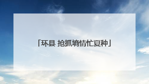 环县 抢抓墒情忙夏种