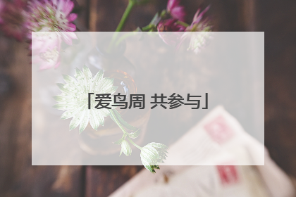 爱鸟周 共参与