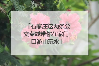 石家庄这两条公交专线带你在家门口游山玩水
