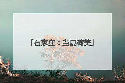 石家庄：当夏荷美