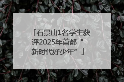 石景山1名学生获评2025年首都“新时代好少年”
