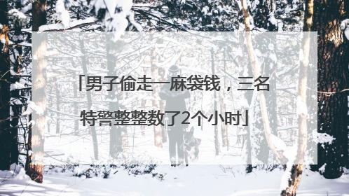 男子偷走一麻袋钱，三名特警整整数了2个小时