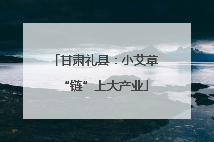 甘肃礼县：小艾草“链”上大产业