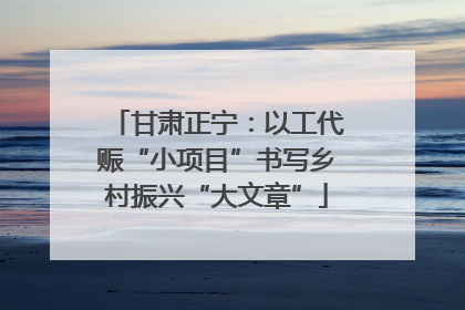 甘肃正宁：以工代赈“小项目”书写乡村振兴“大文章”