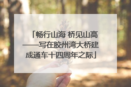 畅行山海 桥见山高——写在胶州湾大桥建成通车十四周年之际