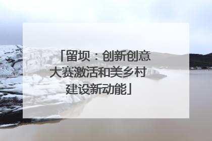 留坝：创新创意大赛激活和美乡村建设新动能