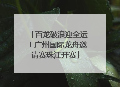 百龙破浪迎全运！广州国际龙舟邀请赛珠江开赛