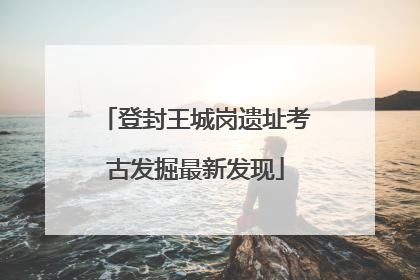 登封王城岗遗址考古发掘最新发现