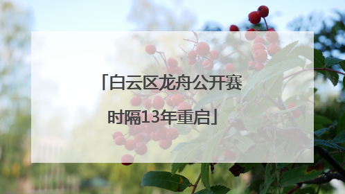 白云区龙舟公开赛时隔13年重启