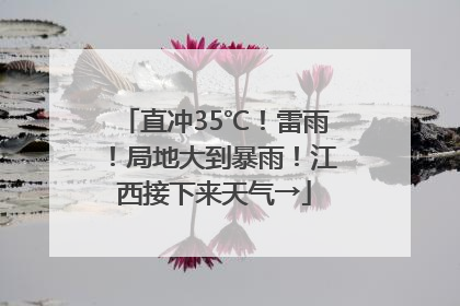 直冲35℃！雷雨！局地大到暴雨！江西接下来天气→