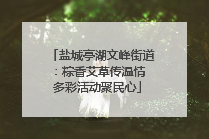 盐城亭湖文峰街道：粽香艾草传温情 多彩活动聚民心