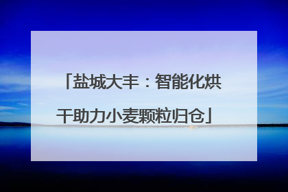 盐城大丰：智能化烘干助力小麦颗粒归仓