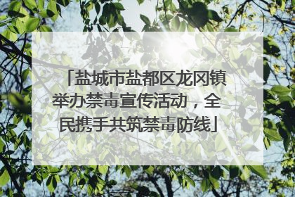 盐城市盐都区龙冈镇举办禁毒宣传活动，全民携手共筑禁毒防线
