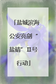盐城滨海公安亮剑“盐靖”Ⅱ号行动
