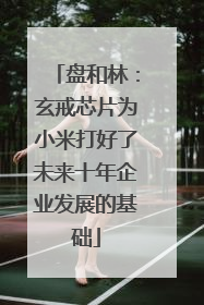 盘和林：玄戒芯片为小米打好了未来十年企业发展的基础