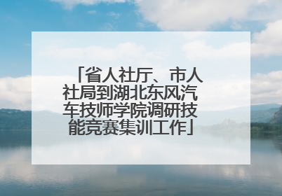 省人社厅、市人社局到湖北东风汽车技师学院调研技能竞赛集训工作