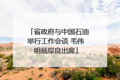省政府与中国石油举行工作会谈 毛伟明戴厚良出席