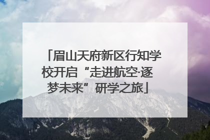 眉山天府新区行知学校开启“走进航空·逐梦未来”研学之旅
