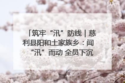 筑牢“汛”防线｜慈利县阳和土家族乡：闻“汛”而动 全员下沉筑牢防汛“安全堤”