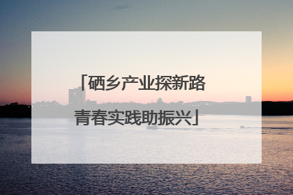 硒乡产业探新路 青春实践助振兴