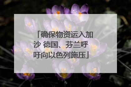 确保物资运入加沙 德国、芬兰呼吁向以色列施压