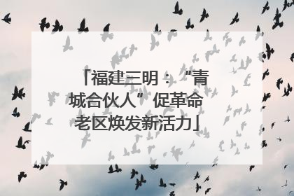 福建三明：“青城合伙人”促革命老区焕发新活力