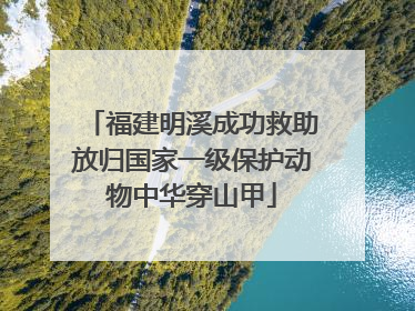福建明溪成功救助放归国家一级保护动物中华穿山甲