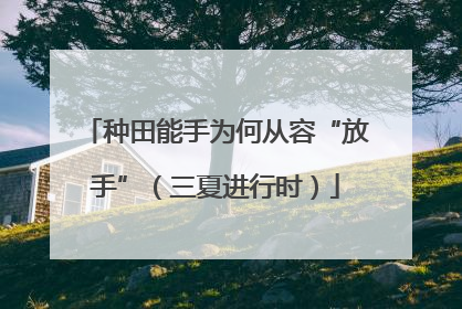 种田能手为何从容“放手”（三夏进行时）