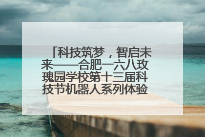 科技筑梦，智启未来——合肥一六八玫瑰园学校第十三届科技节机器人系列体验赛燃动校园