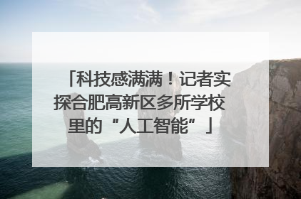 科技感满满！记者实探合肥高新区多所学校里的“人工智能”