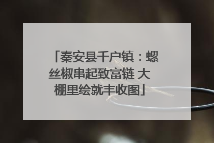 秦安县千户镇：螺丝椒串起致富链 大棚里绘就丰收图