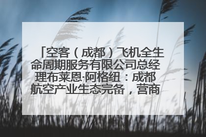 空客（成都）飞机全生命周期服务有限公司总经理布莱恩·阿格纽：成都航空产业生态完备，营商环境优势显著