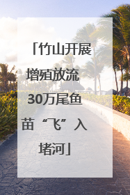 竹山开展增殖放流 30万尾鱼苗“飞”入堵河