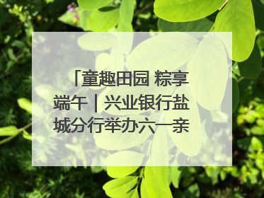 童趣田园 粽享端午｜兴业银行盐城分行举办六一亲子嘉年华活动