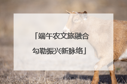 端午农文旅融合 勾勒振兴新脉络