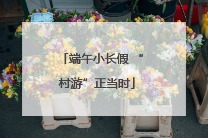 端午小长假 “村游”正当时