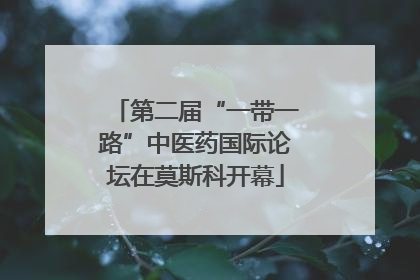 第二届“一带一路”中医药国际论坛在莫斯科开幕