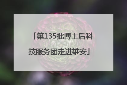第135批博士后科技服务团走进雄安
