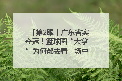 第2眼｜广东省实夺冠！篮球圈“大拿”为何都去看一场中学生比赛？