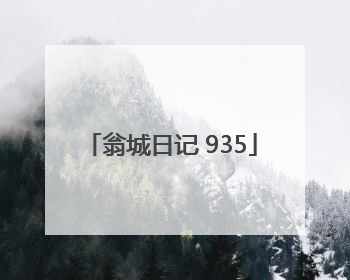 翁城日记 935