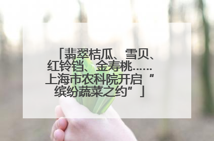 翡翠桔瓜、雪贝、红铃铛、金寿桃……上海市农科院开启“缤纷蔬菜之约”