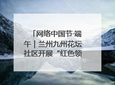 网络中国节·端午｜兰州九州花坛社区开展“红色领航 粽香敬老”端午主题活动