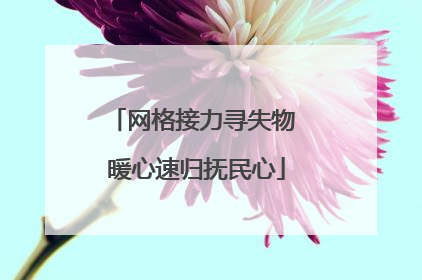 网格接力寻失物 暖心速归抚民心