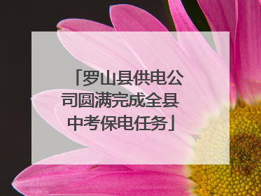 罗山县供电公司圆满完成全县中考保电任务