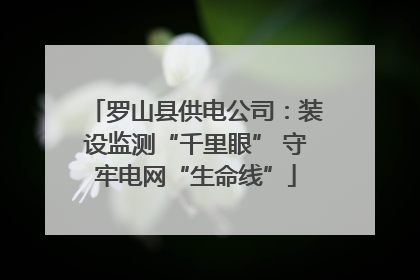 罗山县供电公司：装设监测“千里眼” 守牢电网“生命线”