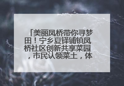 美丽凤桥带你寻梦田！宁乡夏铎铺镇凤桥社区创新共享菜园，市民认领菜土，体验耕种收获乐趣