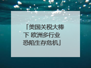 美国关税大棒下 欧洲多行业恐陷生存危机