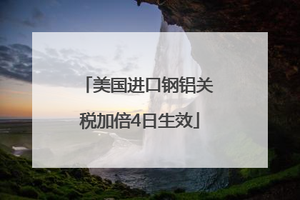 美国进口钢铝关税加倍4日生效